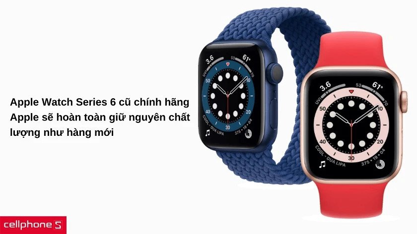 Các loại Apple Watch Series 6 cũ trên thị trường