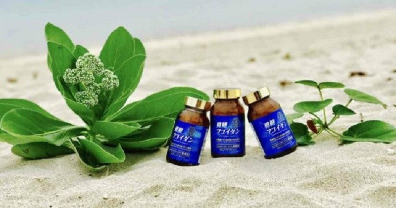 Chi phí Fucoidan xanh Okinawa Kanehide Bio và lợi ích sức khỏe