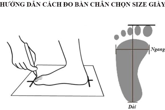 Hình ảnh minh họa cách đo chiều dài bàn chân để xác định size giày quốc tế chuẩn xác