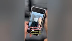 : Kiểm Tra Mã Code Giày Adidas Chính Hãng Như Thế Nào?