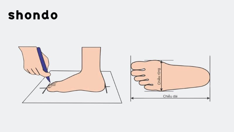 Hướng dẫn chi tiết cách đo chiều dài và chiều rộng bàn chân nam giới