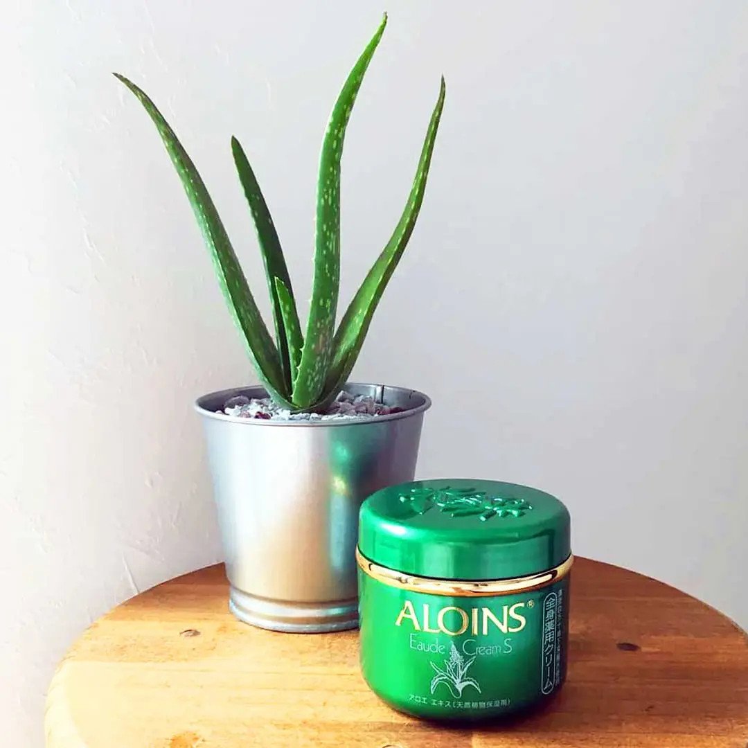 Hướng dẫn sử dụng kem dưỡng da lô hội hiệu quả hàng ngày