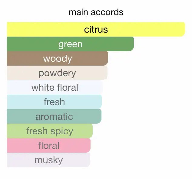 Hương thơm đa tầng của nước hoa Calvin Klein, với nốt trầm đặc trưng của nước hoa CK đen