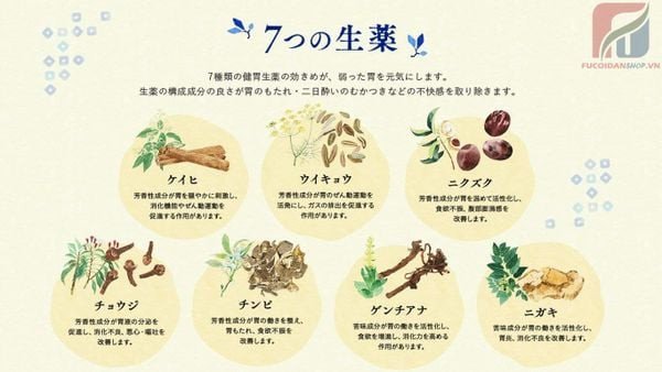 Giải Pháp Hiệu Quả Cho Đau Bao Tử: Khám Phá Thuốc Đau Bao Tử Của Nhật Ohta's Isan