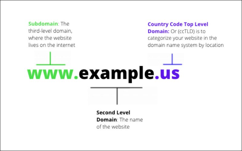 Các lựa chọn giao hàng và thanh toán khi order giày Adidas UK