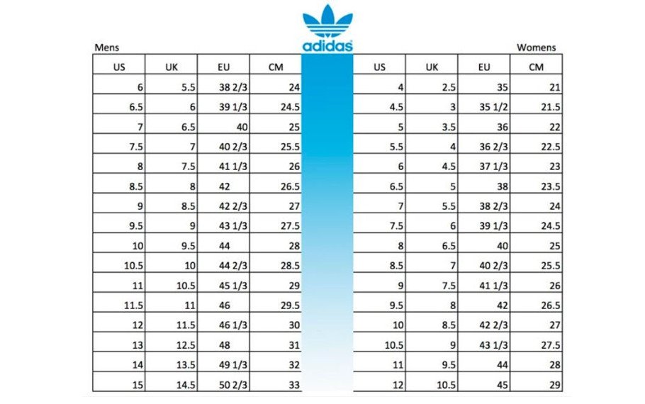 So sánh size giày Nhật với các thương hiệu quốc tế như Converse và Vans