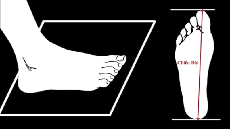 Sử dụng vật dụng có kích thước cố định để ước lượng chiều dài bàn chân