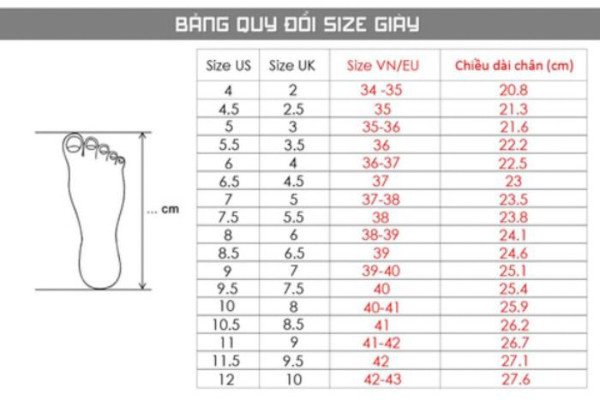 Bảng quy đổi size EUR sang size Việt Nam và chiều dài chân