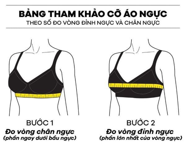 Cách đo size áo ngực chi tiết