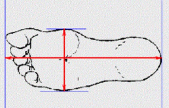 Hướng dẫn vẽ phác thảo bàn chân để đo size giày Mira