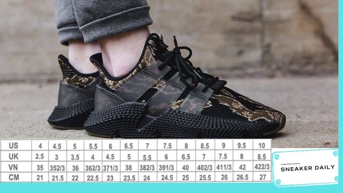 Kích thước chân và đôi giày sneaker chuẩn với chân