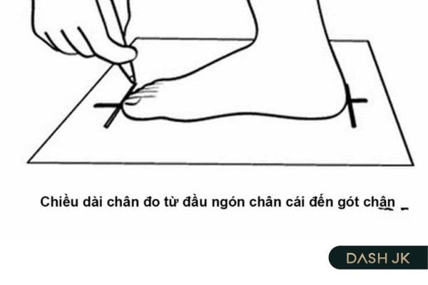 Ảnh minh họa cách đo chiều dài bàn chân