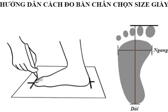 Bảng kích thước giày bảo hộ để chọn size phù hợp