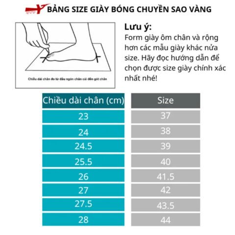 Bảng size giày bóng chuyền Sao Vàng chi tiết giúp chọn cỡ chuẩn