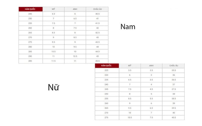 Bảng size giày chạy bộ Adidas theo tiêu chuẩn Hàn Quốc