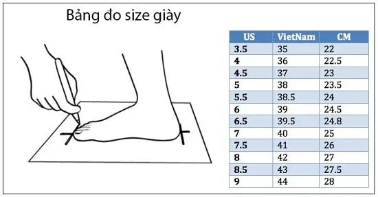 Bảng size giày Wilson nam
