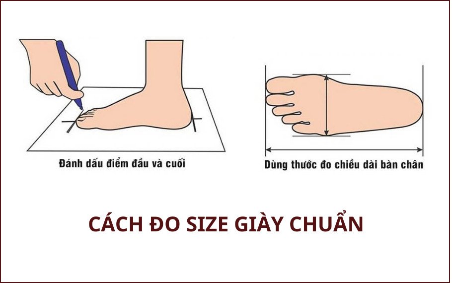 Bí Quyết Chọn Đúng Size Giày Nhật Nữ Hoàn Hảo Cho Bạn