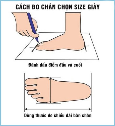 Cách đo kích thước bàn chân để chọn giày tây nam Hàn Quốc