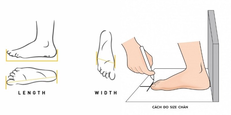 Cách đo kích thước bàn chân tại nhà giúp xác định size giày chuẩn xác