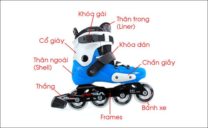 Cấu tạo chi tiết của giày trượt patin một hàng bánh (Inline Skates), tập trung vào phần thân giày, khung và các bánh xe thẳng hàng