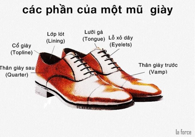 Cấu tạo chi tiết của một đôi giày thể thao, làm rõ vị trí của lưỡi gà giày