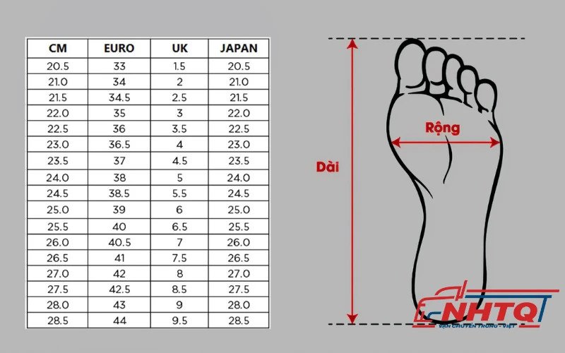 Chọn giày đá bóng vừa vặn với kích thước và hình dáng bàn chân