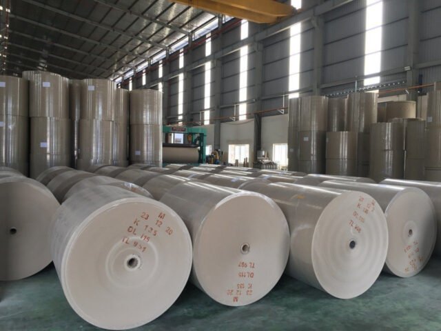 Cuộn giấy xeo lưới dài chất lượng cao