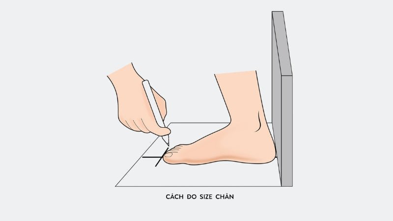 Đánh dấu gót chân và ngón chân dài nhất để đo size giày nam