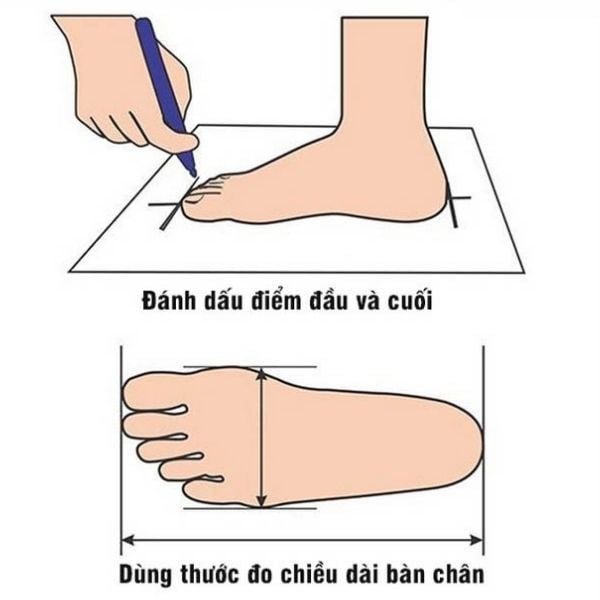 Đo chiều dài chân giúp chọn size giày chính xác