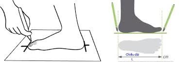 Đo chiều dài và chiều rộng bàn chân