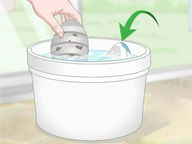 Giặt giày thể thao bằng tay với bột giặt