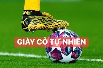 Giày đá bóng sân cỏ tự nhiên