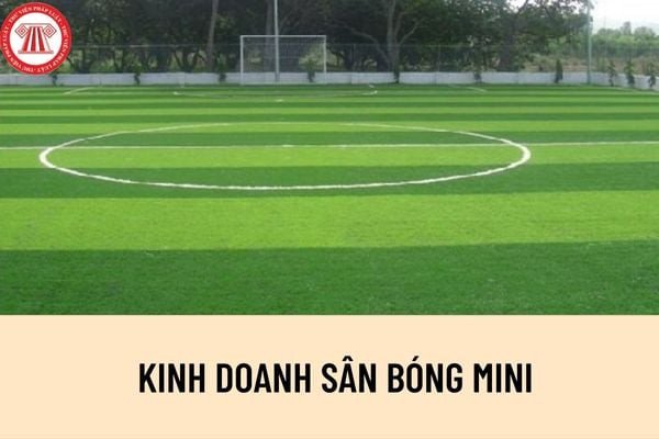 Giấy phép kinh doanh sân bóng đá mini đảm bảo an toàn cho người chơi