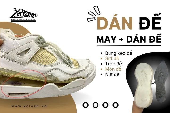 Giày sneaker trắng tinh tươm sau khi được vệ sinh và sửa chữa tại Xclean.vn