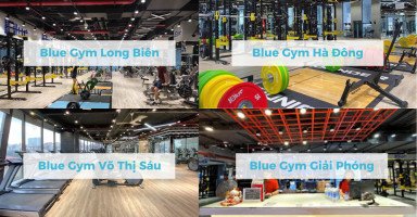 Hệ thống chi nhánh Blue Gym tại Hà Nội với trang thiết bị hiện đại