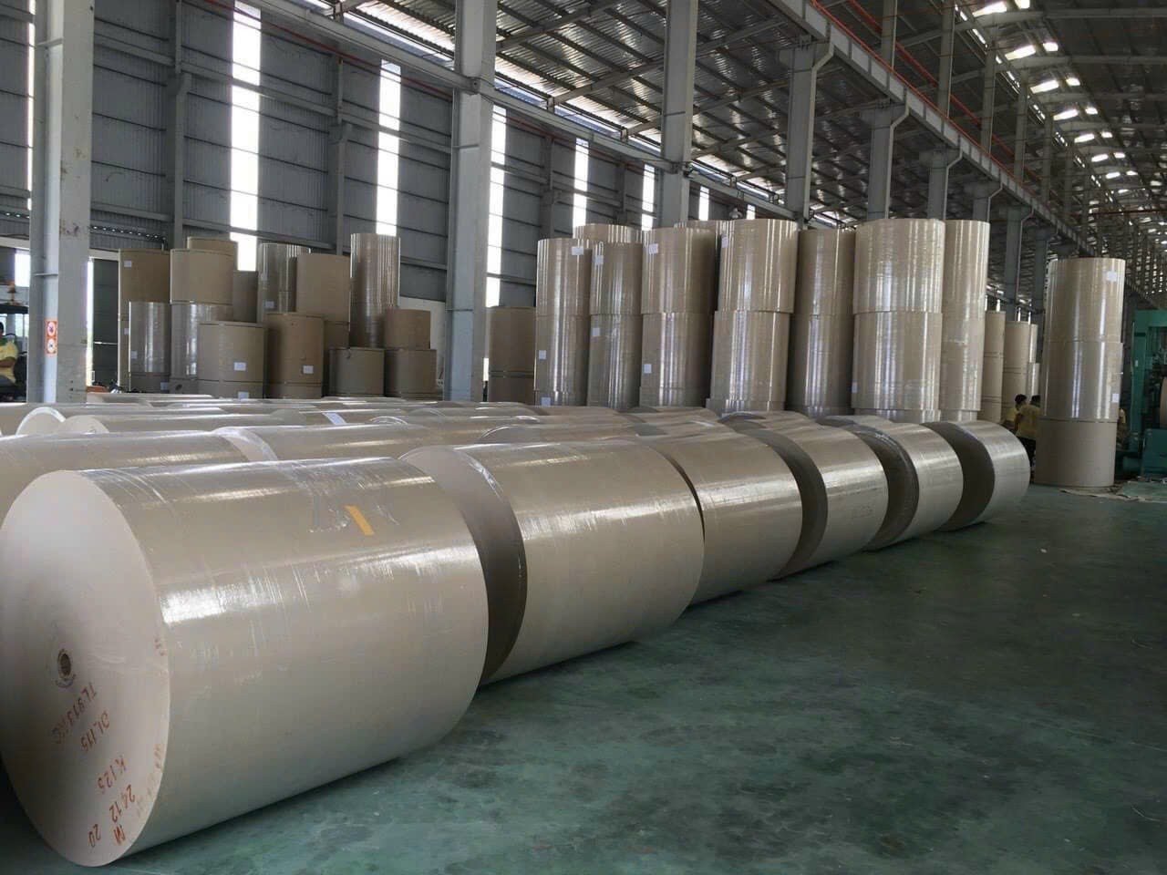 Hệ thống máy xeo giấy lưới dài đang hoạt động