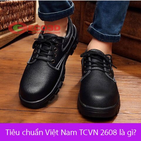 Hình ảnh minh họa các ký hiệu tiêu chuẩn TCVN 2608 trên giày bảo hộ lao động
