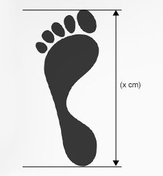 Hình ảnh minh họa cách đo chiều dài bàn chân để xác định size giày chính xác.