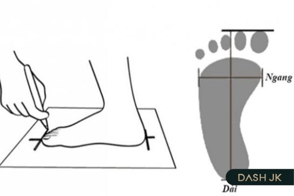 Hướng dẫn chi tiết cách đo chiều dài bàn chân để chọn size giày Nhật