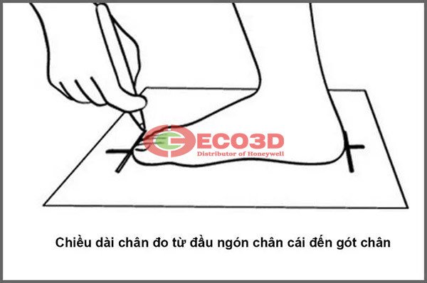 Hướng dẫn đo chân chuẩn xác tại nhà để xác định size giày 240 tương đương