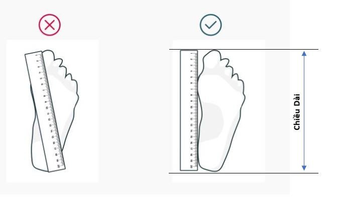 Hướng dẫn đo chiều dài bàn chân để chọn size giày patin
