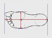 Hướng dẫn đo chiều dài bàn chân để xác định size giày trung bình của nam Việt Nam chính xác.