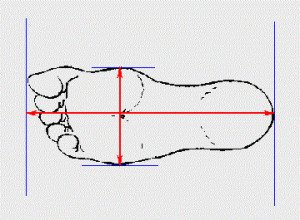 Hướng dẫn đo chiều dài chân để xác định size giày