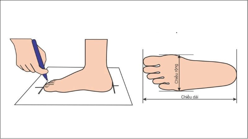 Hướng dẫn đo chiều dài và chiều rộng bàn chân để chọn size giày chuẩn