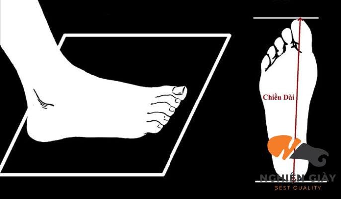 Hướng dẫn đo kích thước bàn chân để chọn giày thể thao Zara nữ vừa vặn