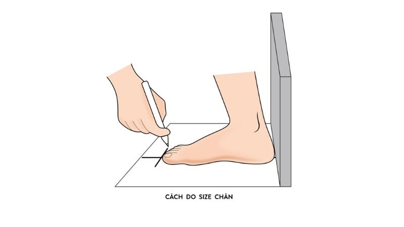 Hướng dẫn đo kích thước chân để chọn dép chuẩn