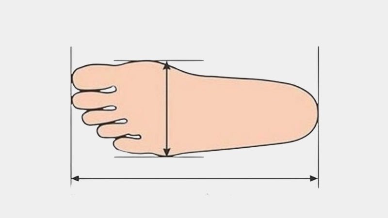 Hướng dẫn đo size giày thể thao nữ tại nhà bằng giấy A4