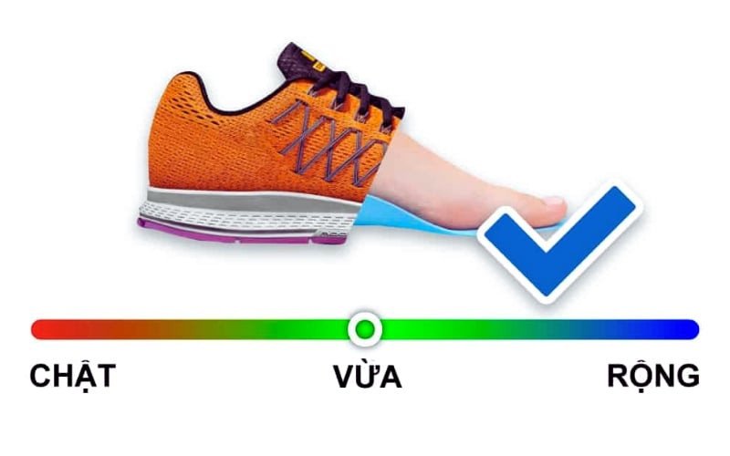 Cẩm nang chọn giày Nike size nữ chuẩn xác cho phái đẹp