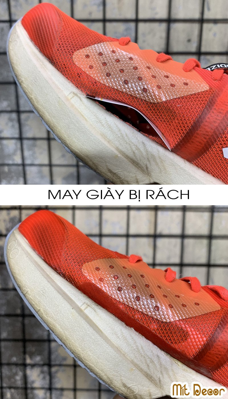may giày thể thao