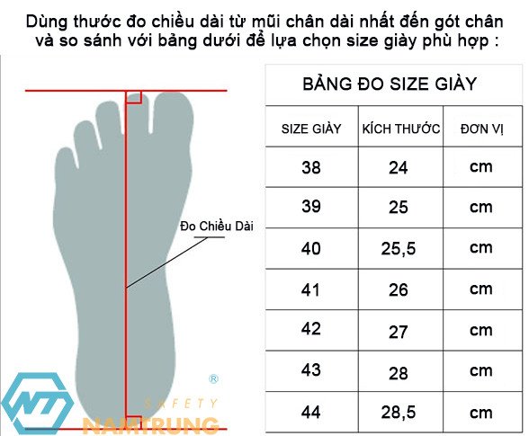 Mẹo ước lượng size giày Jogger dựa trên size giày thể thao